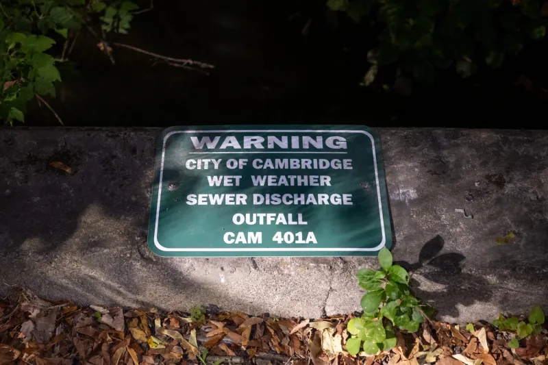 City Council Backs Stricter Sewage Overflow Recommendations in Draft Proposal