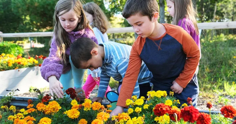 Forestdale Garden Flourishes In First Few Months