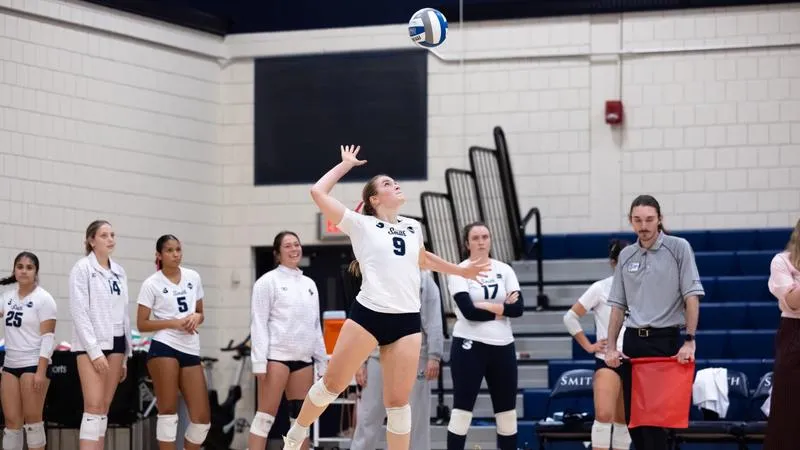 No. 24 Bears face NEC, Lasell in Saturday tri-match