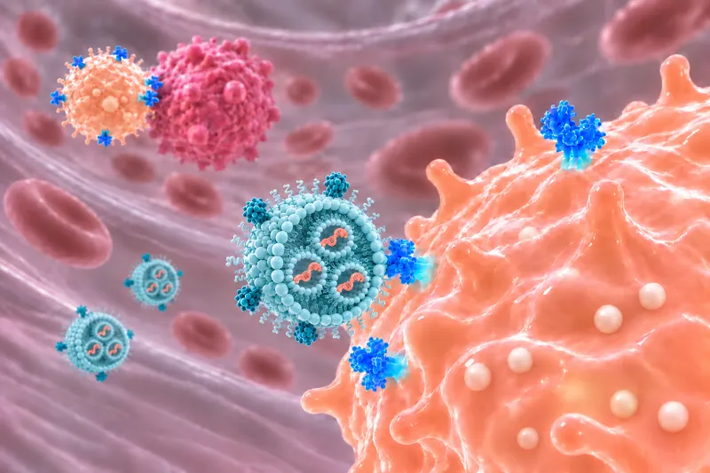 Reprogrammed NK immune cells target cancer and autoimmune disorders