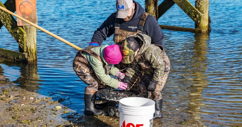 Sandwich Shellfishing Permits Now Available