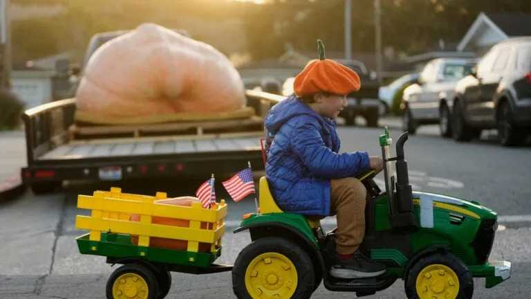 3,156-pound pumpkin grown in Rhode Island is inspected for possible world record