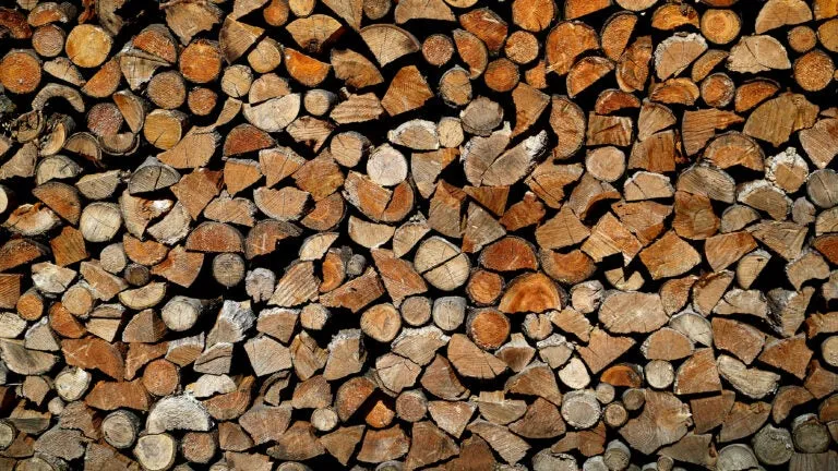 Scout troop sold firewood on the honor system. When it was gone, there was $1 in the donation bin.