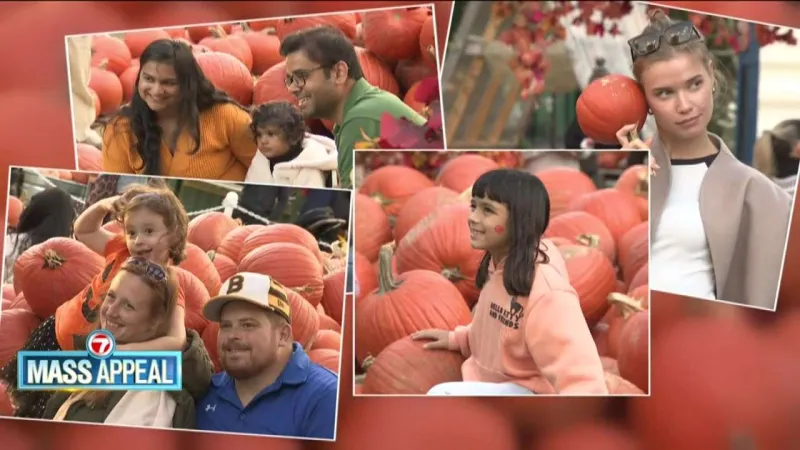Mass Appeal: Cityside Pumpkin Patch in Boston's Seaport