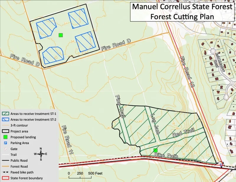 State Forest cutting plans stalled after no bids