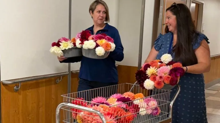 A Mass. nurse's love of gardening blossomed into an annual tradition for hospital patients