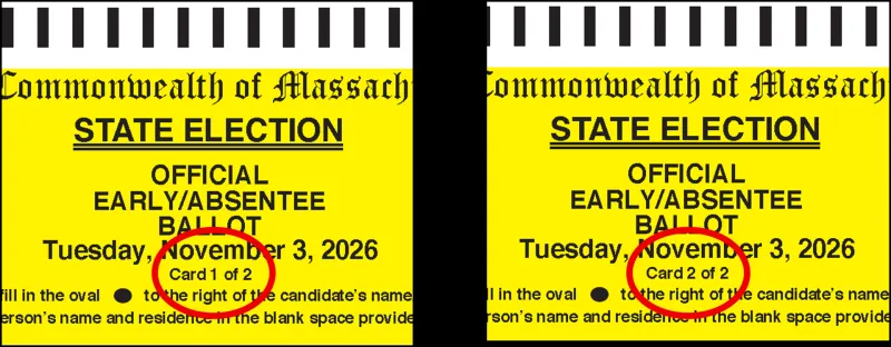 Notice Regarding Mail-In Ballots for State Election