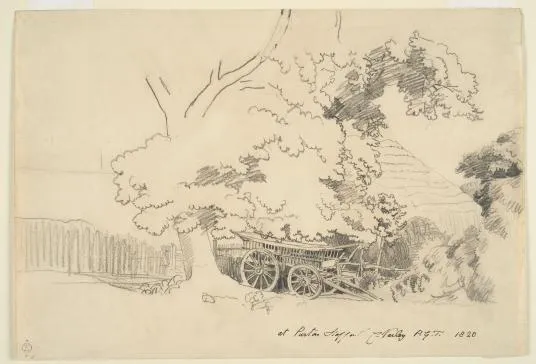 'On Location: Drawing the Outdoors': Harvard Art Museums Features the Natural World in Their New Exhibit