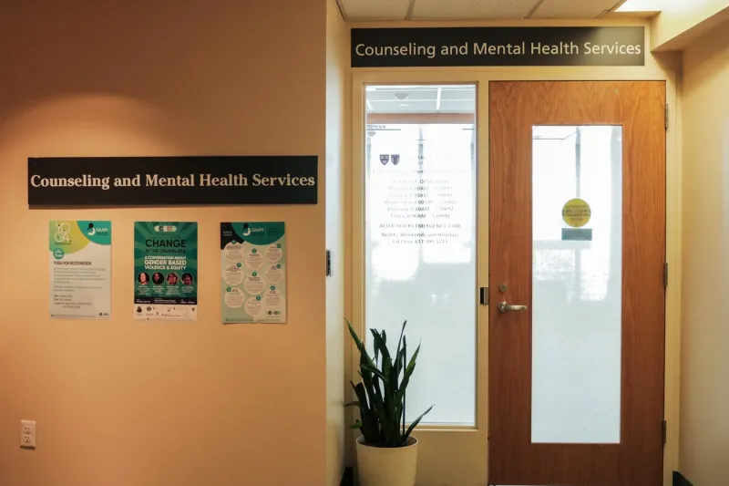 Mental Health Can't Wait