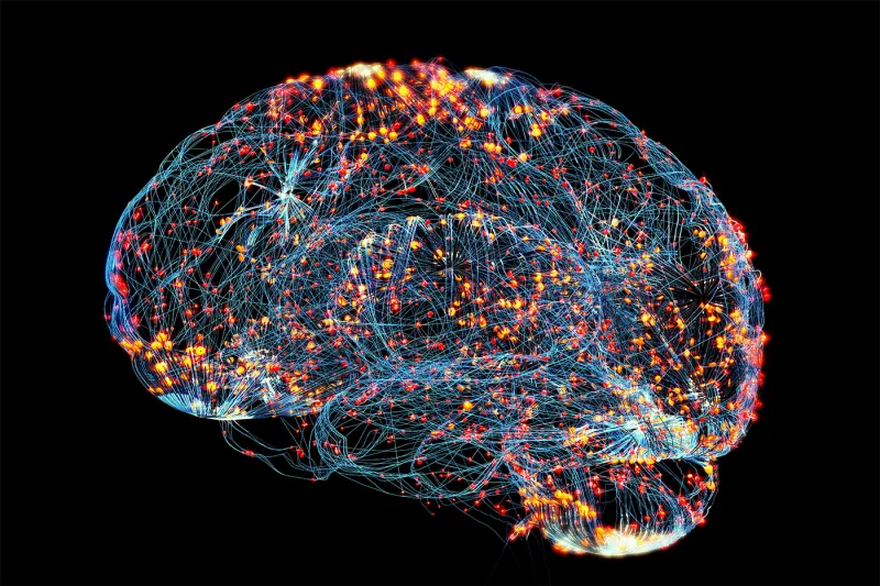 What does a healthy brain look like? Turns out it's all relative.