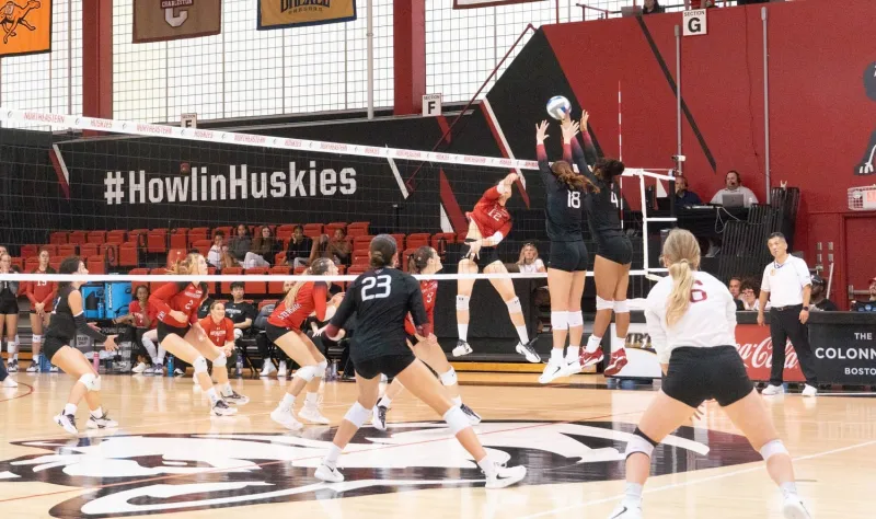 Harvard Women's Volleyball Stuns Penn With Reverse Sweep After Friday Loss