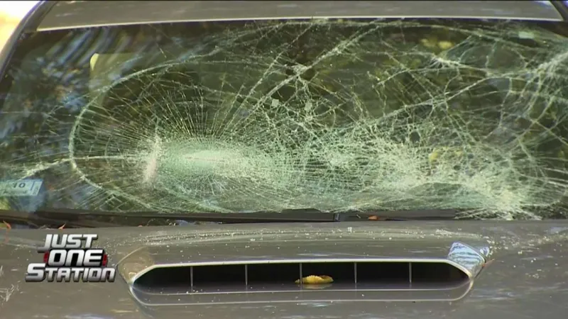 JUST ONE STATION: Police investigating series of car vandalisms in South Boston