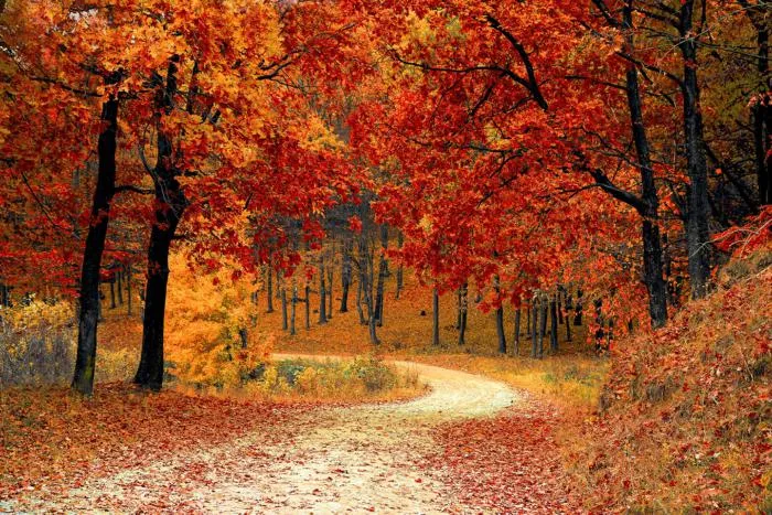 The changing seasons
