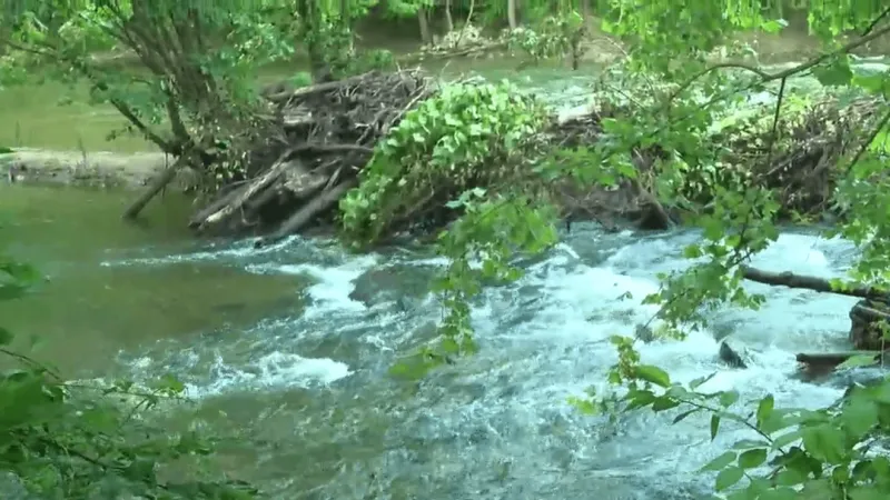 Maryland secures $4.1M settlement over Gunpowder River pollution