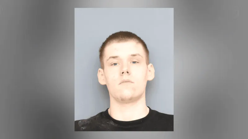 Man wanted on child porn, weapons charges found hiding under Charles County home