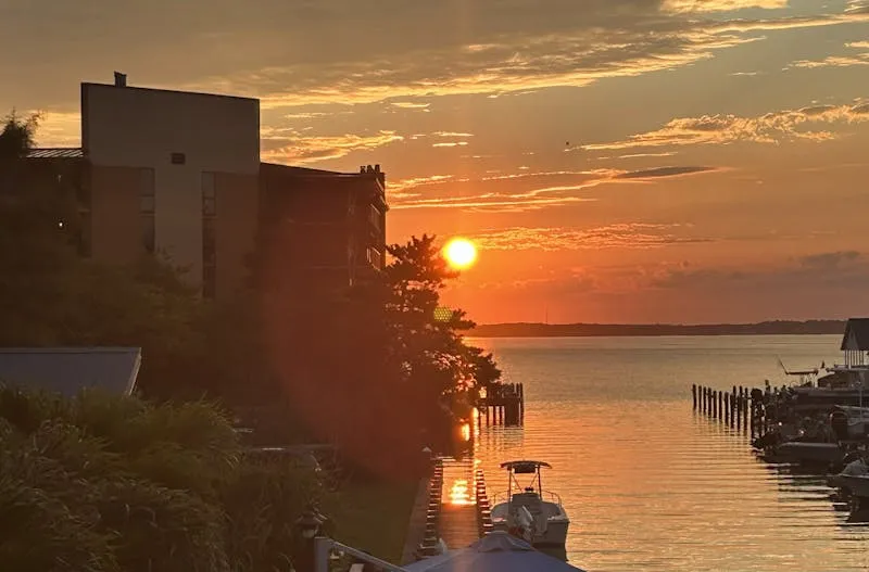 Old bay and East Coast summers