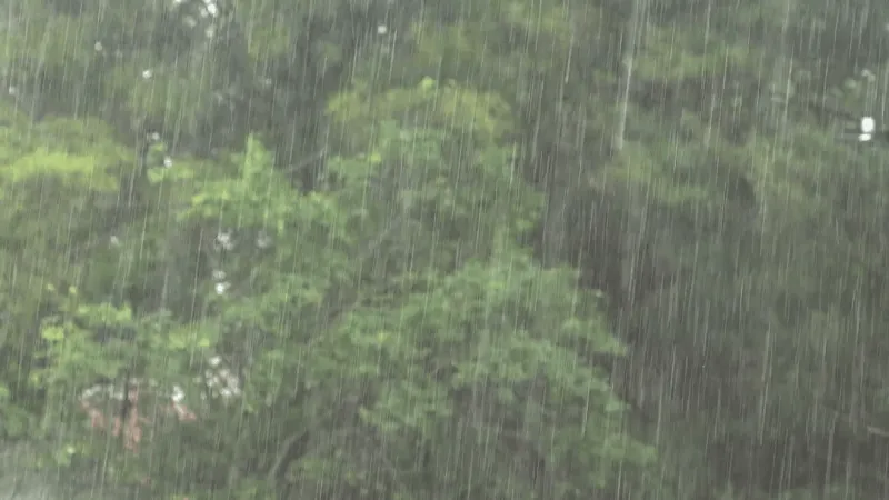 BGE activates storm response plans ahead of summer heat, hurricane season