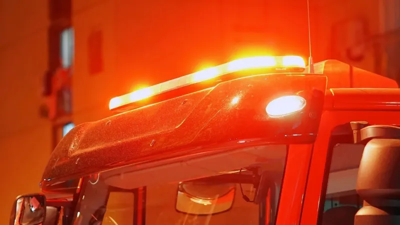 Woman dies after being pinned under fallen tree on Maryland state park trail
