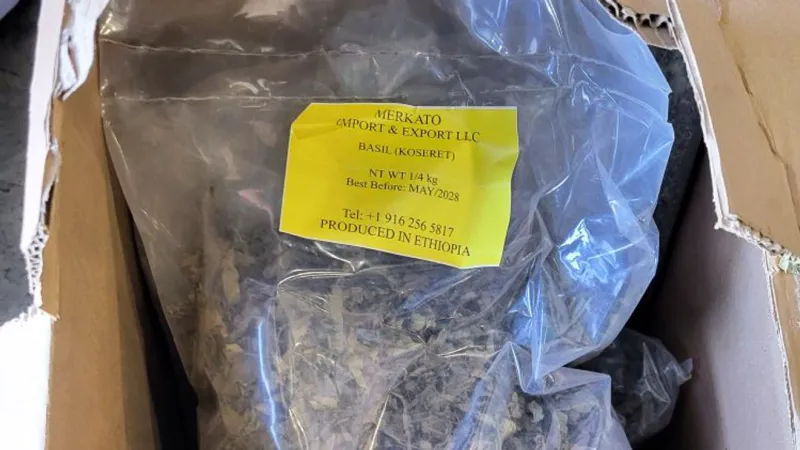 CBP seizes 139 pounds of illegal 'Khat' hidden in spice shipment at Dulles Airport