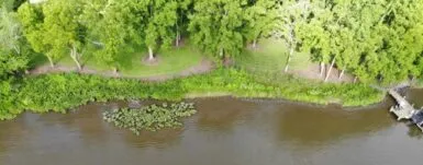 New Law Expands Opportunities for Living Shorelines