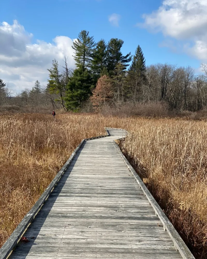 Loch Lynn Heights: Home To Fully ADA Compatible Playground
