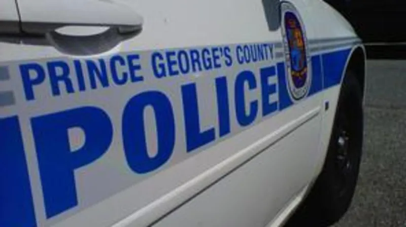 Driver found shot inside vehicle following Forestville crash