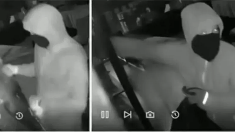 Video shows masked thieves smashing glass, grabbing items during Bowie business break-in