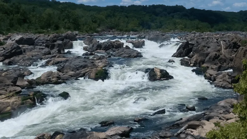 SUN: Missing teen boy's body recovered from Potomac River