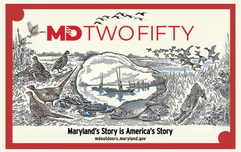 Maryland DNR Offers Special Edition MD250 Hard Card for Sale in Honor of America's 250th Birthday