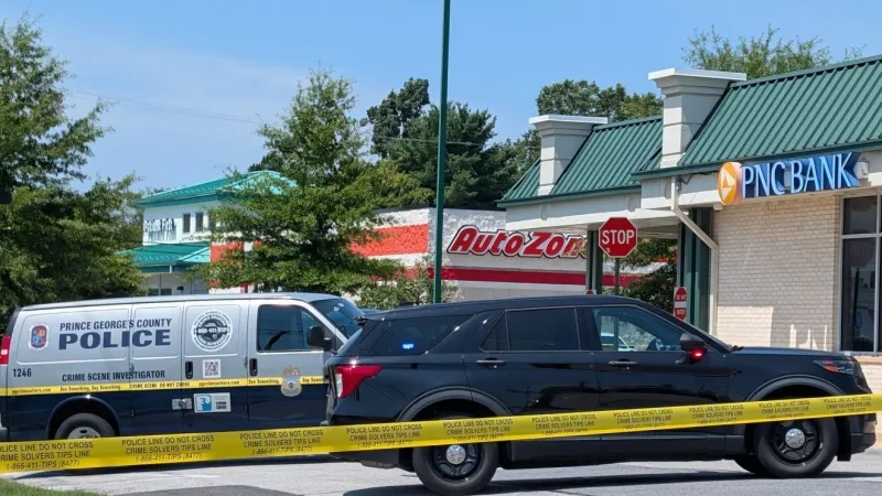 Man arrested in Beltsville bank robbery; stolen cat recovered