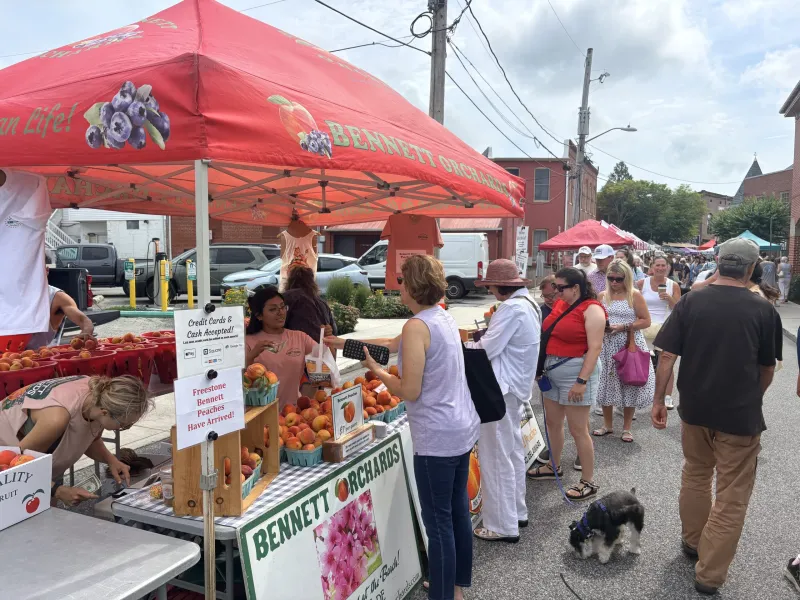 Berlin scores $50Kin state grants for market, events