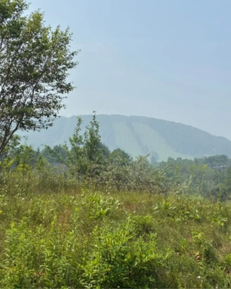 Deep Creek Daily Notes Blog July 21
