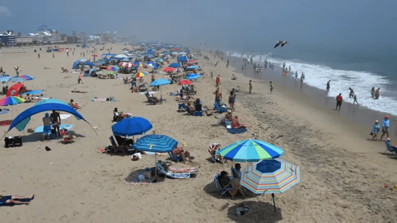 SUN: Ocean City tests beach canopy crackdown, favoring education over tickets