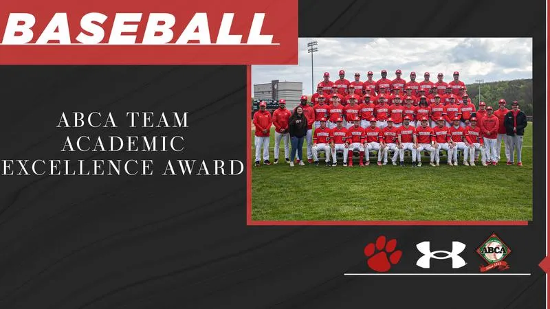 Baseball Earns ABCA Team Academic Excellence Award