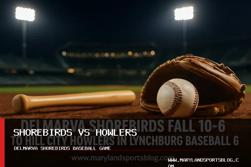 Delmarva Shorebirds Fall 10-6 to Hill City Howlers in Lynchburg Baseball Game