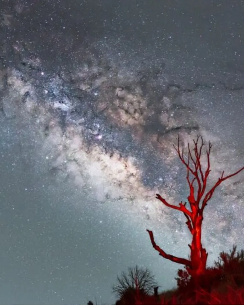 What is the Milky Way? It's our home galaxy