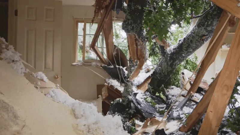 'It hurts my heart': Tree crashes through roof of family's Gaithersburg townhome