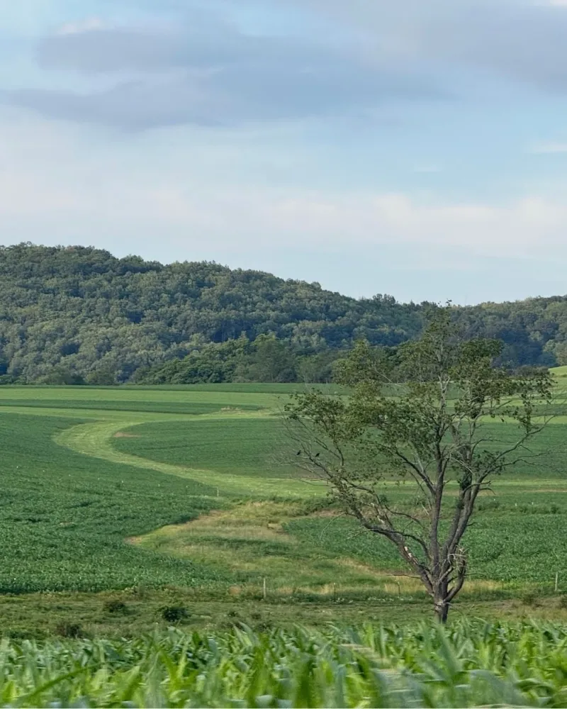 Deep Creek Daily Notes Blog July 30