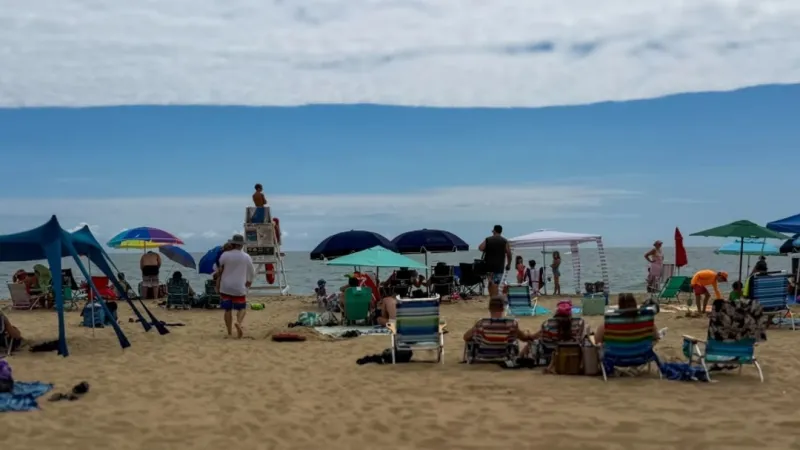 SUN: Jellyfish stings are up in Ocean City. Here's what swimmers should know