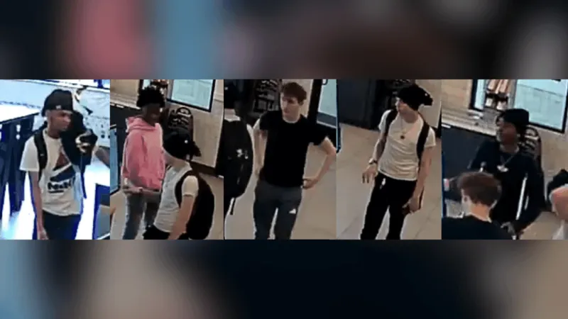 Do you know them? 5 wanted in Gaithersburg Lexus theft
