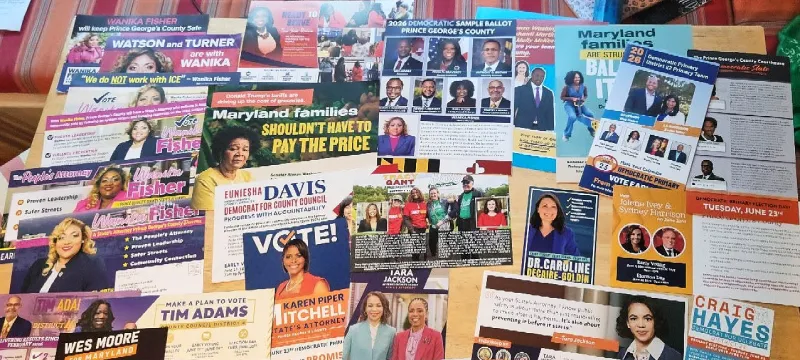 Specimen Ballot Mailing Violated Law, Likely Impacted Election