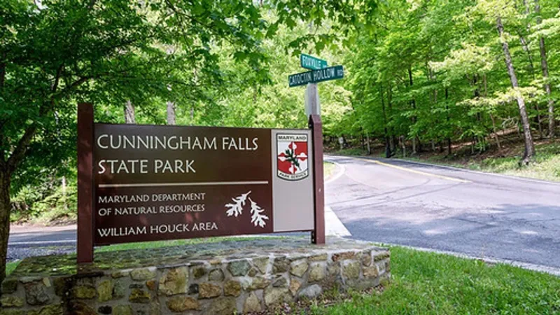 Second beaver at Cunningham Falls State Park tests positive for rabies