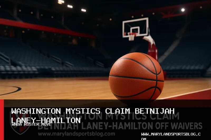Washington Mystics Claim Betnijah Laney-Hamilton Off Waivers