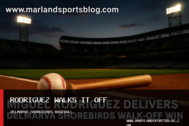 Miguel Rodriguez Delivers Delmarva Shorebirds Walk-Off Win