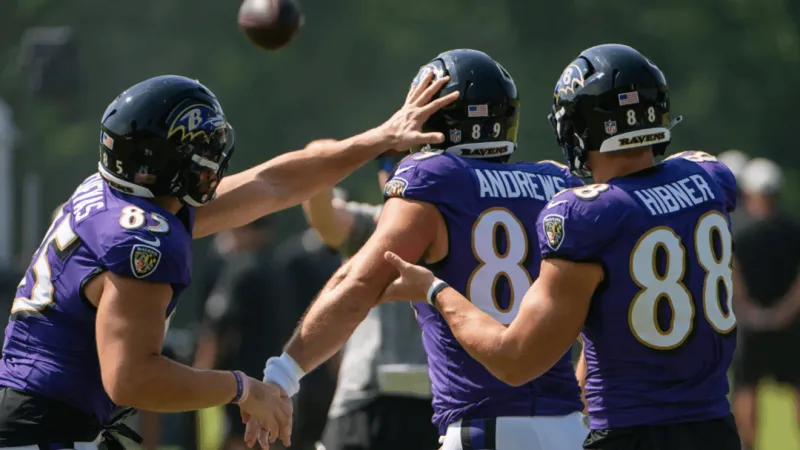 SUN: Do the Ravens have a tight end problem? In camp, it's not looking good.
