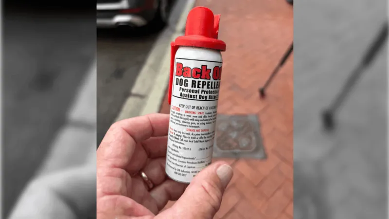 Prince George's County Lyft driver uses 'bear spray' to fight off would-be carjacker