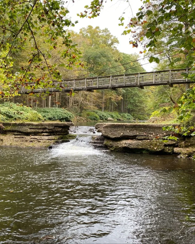 Explore Historic Pedestrian Suspension Bridges