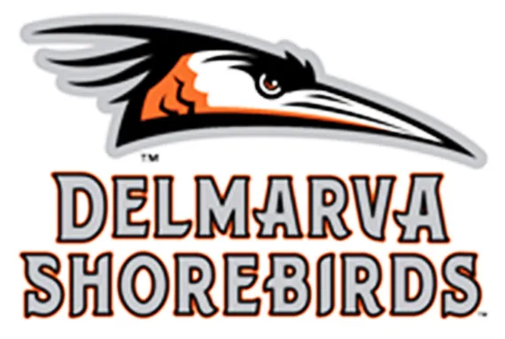 Delmarva Shorebirds Fall 9-5 to Fredericksburg Nationals in Four-Home Run Game on August 8, 2026