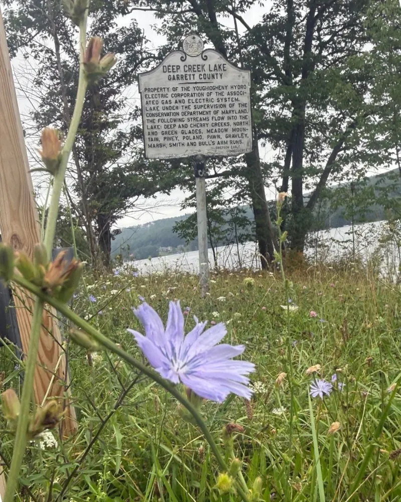 Deep Creek Daily Notes Blog August 24