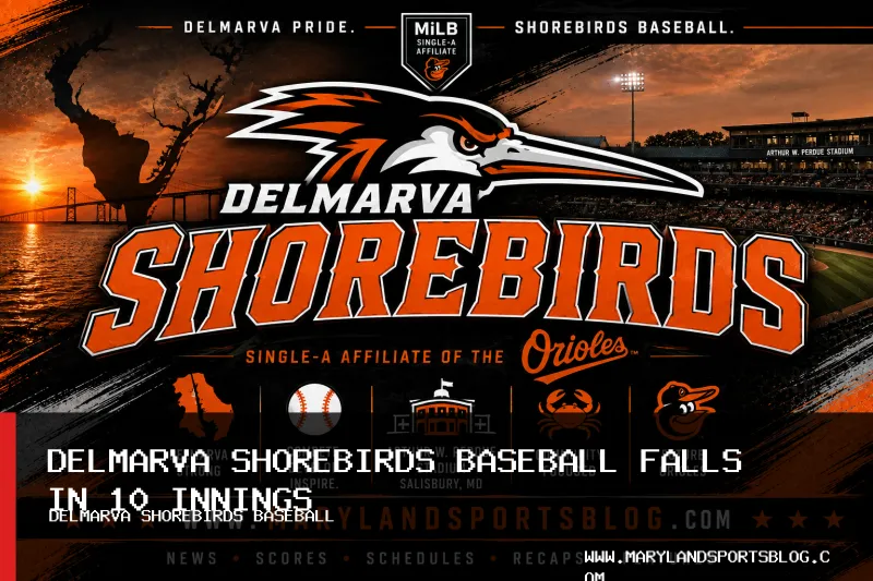 Delmarva Shorebirds Fall 5-4 to Fredericksburg Nationals in 10 Innings
